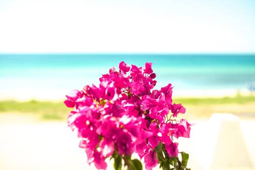Nikiti Greece Hotel Bombastic Promo Code Booking.com