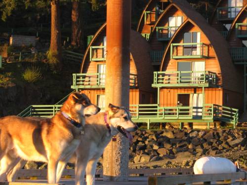 Quadra Island (British Columbia) Canada Hotel Bombastic Promo Code Booking.com
