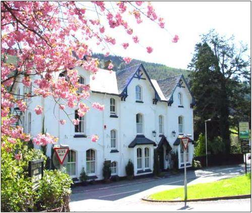 Machynlleth Reino Unido Hotel Bombastico Código Promocional Booking.com