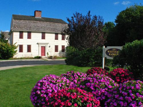 Mystic (CT) United States Hotel Bombastic Promo Code Agoda.com