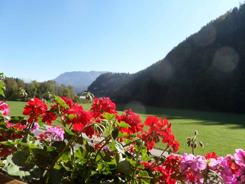 St. Wolfgang Austria Hotel Bombastic Promo Code Booking.com