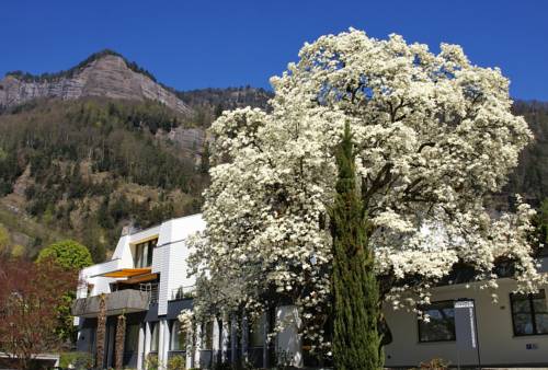 Vitznau Suiza Hotel Bombastico Código Promocional Booking.com
