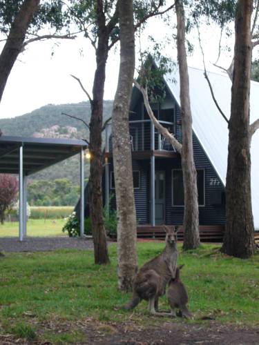 Halls Gap Australia Hotel Bombastic Promo Code Booking.com