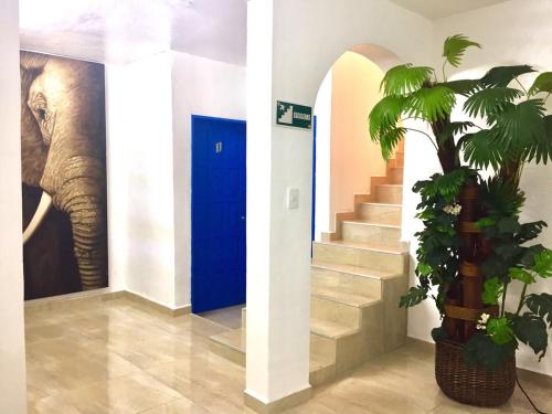 Chetumal Mexico Hotel Bombastic Promo Code Agoda.com