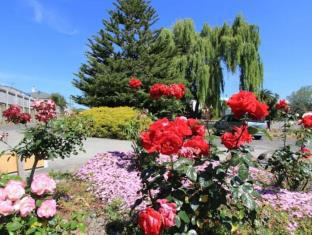 Auckland New Zealand Hotel Bombastic Promo Code Agoda.com