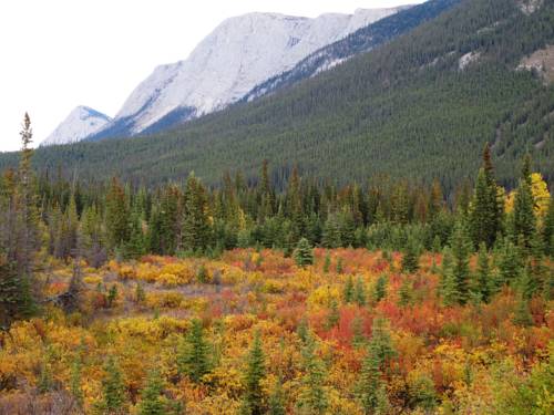 Whitehorse (Yukon) Canada Hotel Bombastic Promo Code Booking.com