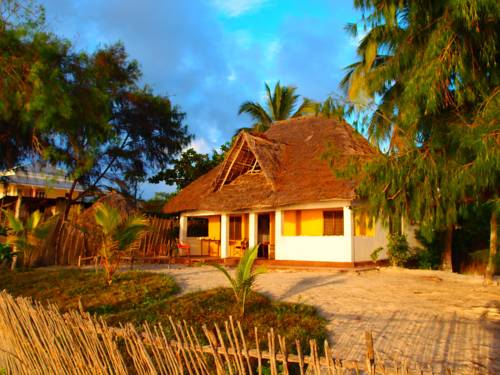 Bwejuu Tanzania Hotel Bombastic Promo Code Booking.com