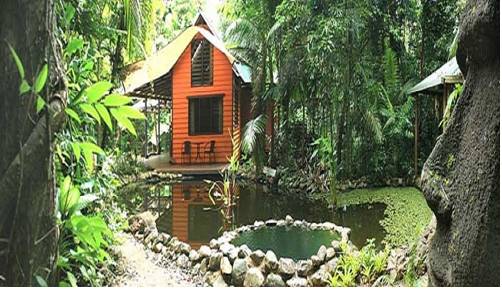 Cape Tribulation Australia Hotel Bombastic Promo Code Booking.com