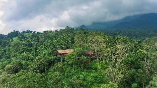 Wayanad India Hotel Bombastic Promo Code Agoda.com