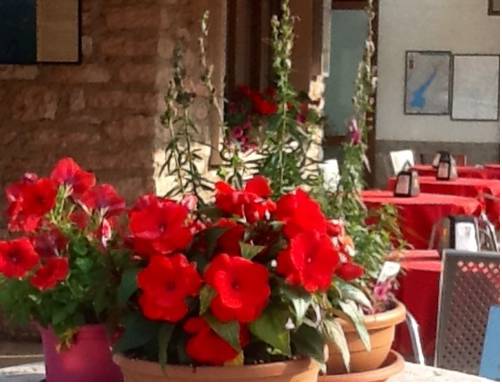 San Zeno di Montagna Italy Hotel Bombastic Promo Code Booking.com