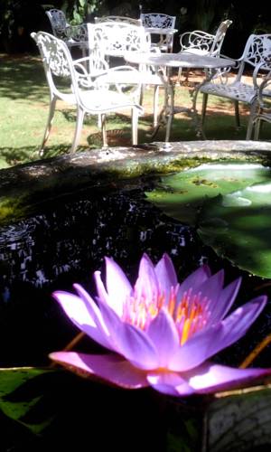 Mihintale Sri Lanka Hotel Bombastico Código Promocional Booking.com