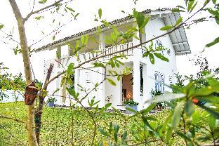 Mirissa Sri Lanka Hotel Bombastic Promo Code Agoda.com