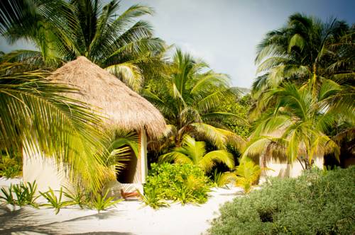 Xpu Ha México Hotel Bombastico Código Promocional Booking.com