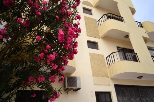 Santa Maria Cape Verde Hotel Bombastic Promo Code Agoda.com