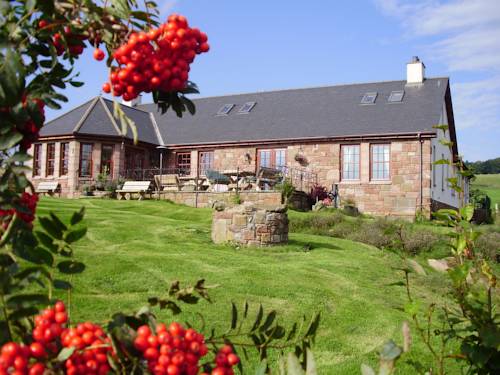 Kirriemuir Reino Unido Hotel Bombastico Código Promocional Booking.com