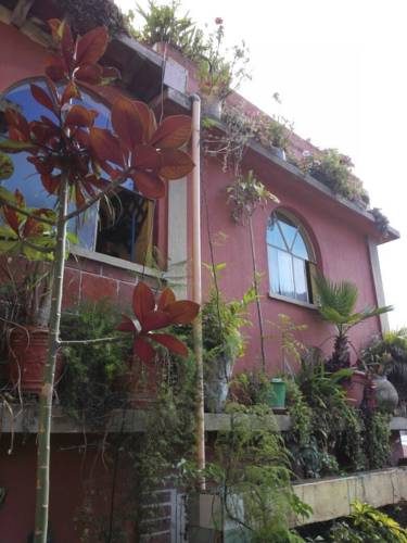 Panajachel Guatemala Hotel Bombastic Promo Code Booking.com
